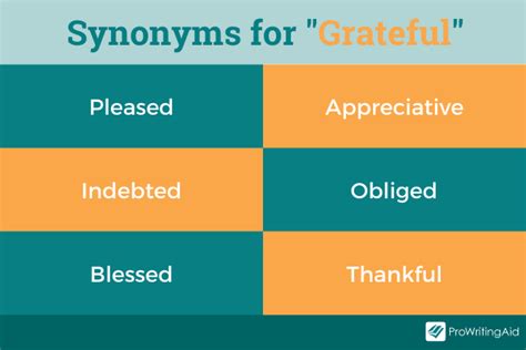 eternally grateful synonym